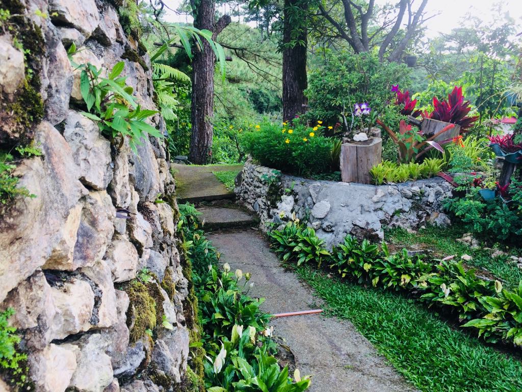 41990903_330608297768322_4349419363825090560_n