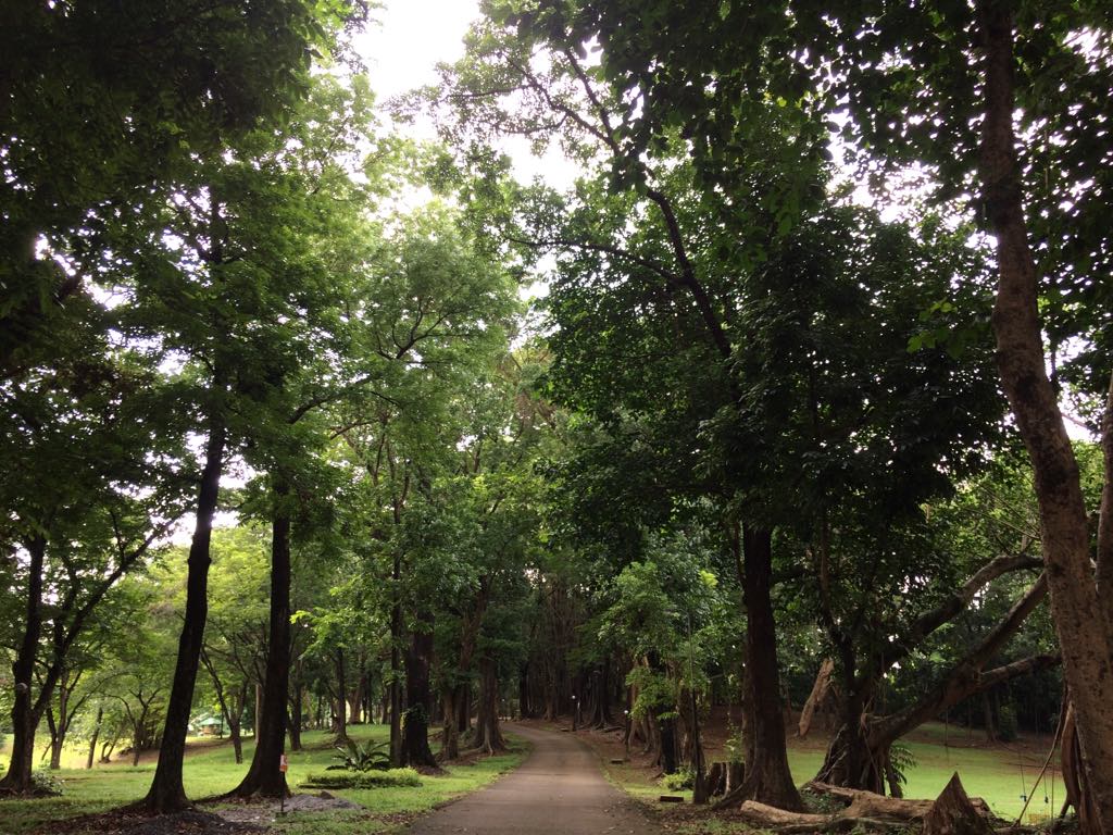 37051002_10216065813494448_8731131289668681728_n