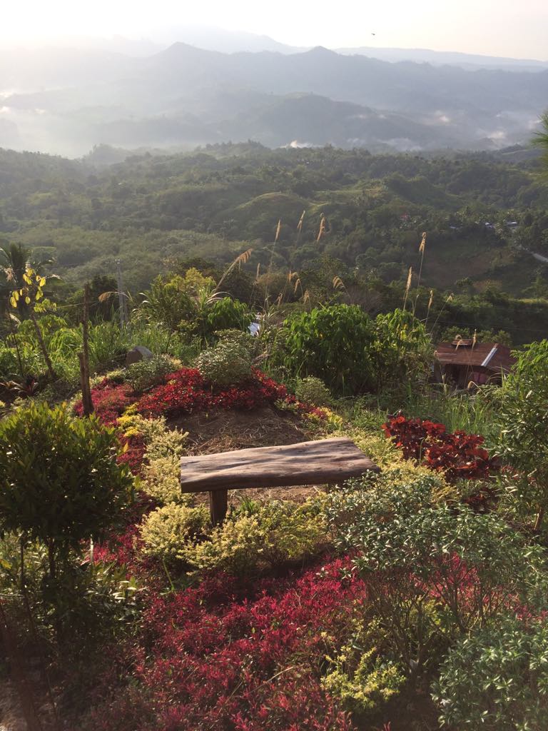 39091763_435579113595770_2712104360879325184_n