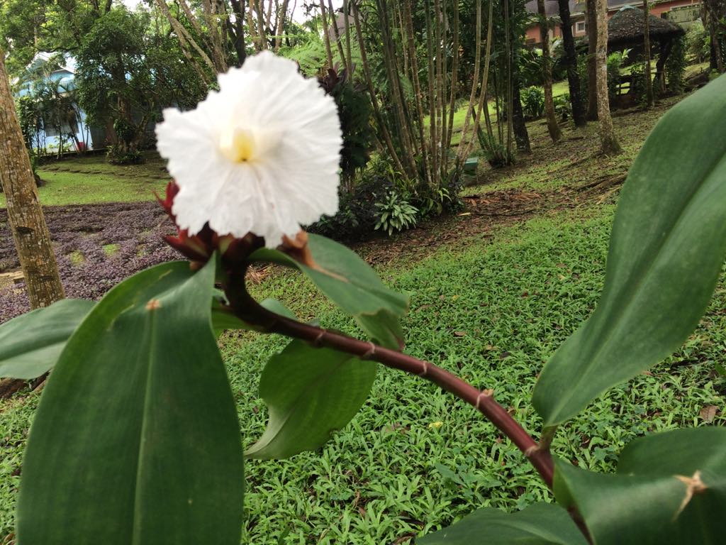 41401656_537606953351088_7391758228175978496_n