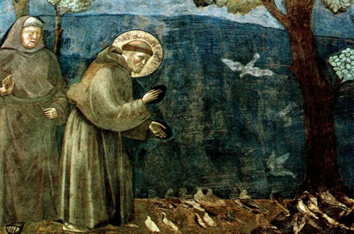 st.Francis