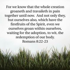 romans823