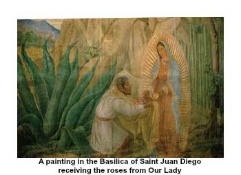 guadalupe2