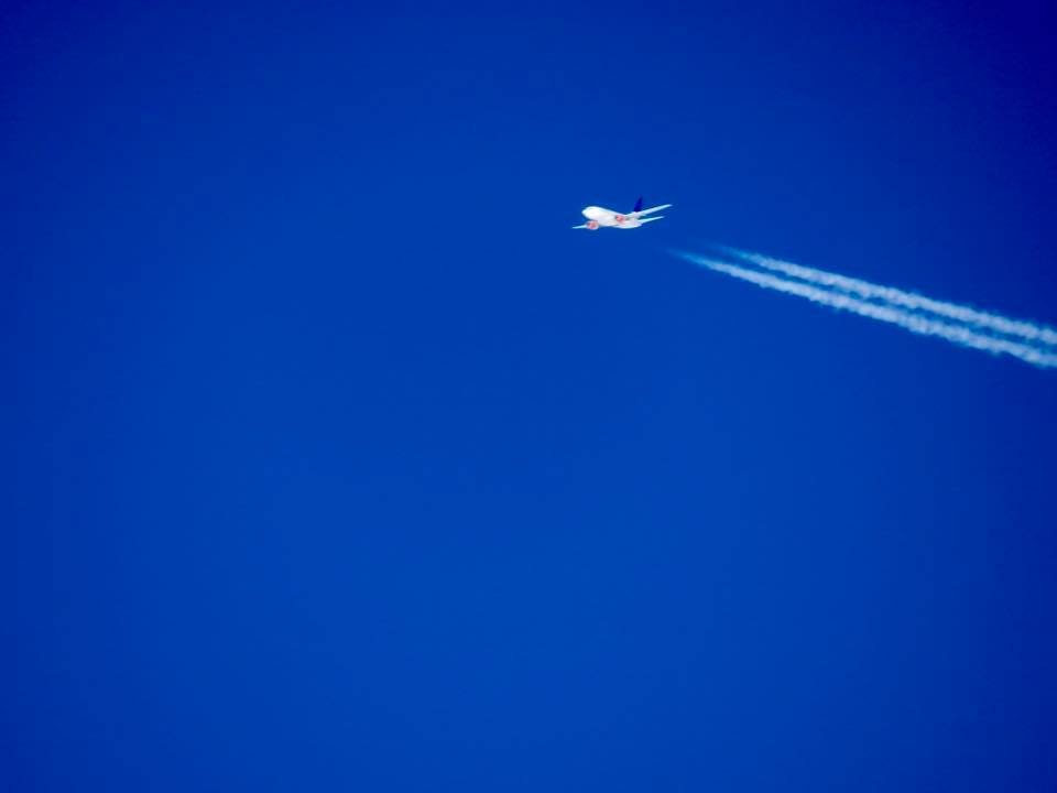 43758068_10156156830637758_5322722531499573248_n