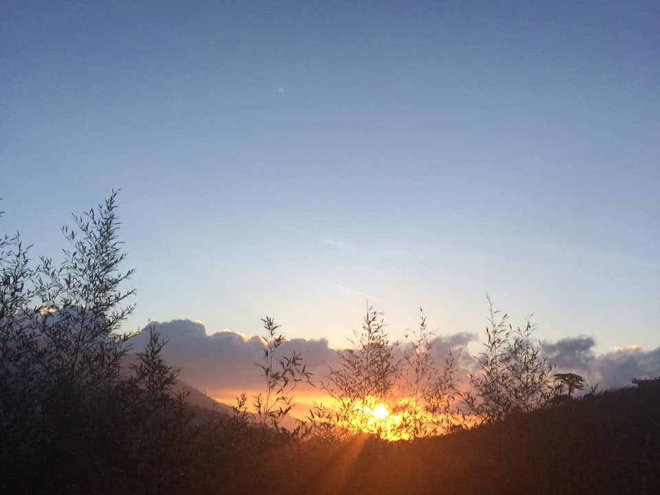 50230614_10217629200418144_60676867006398464_n