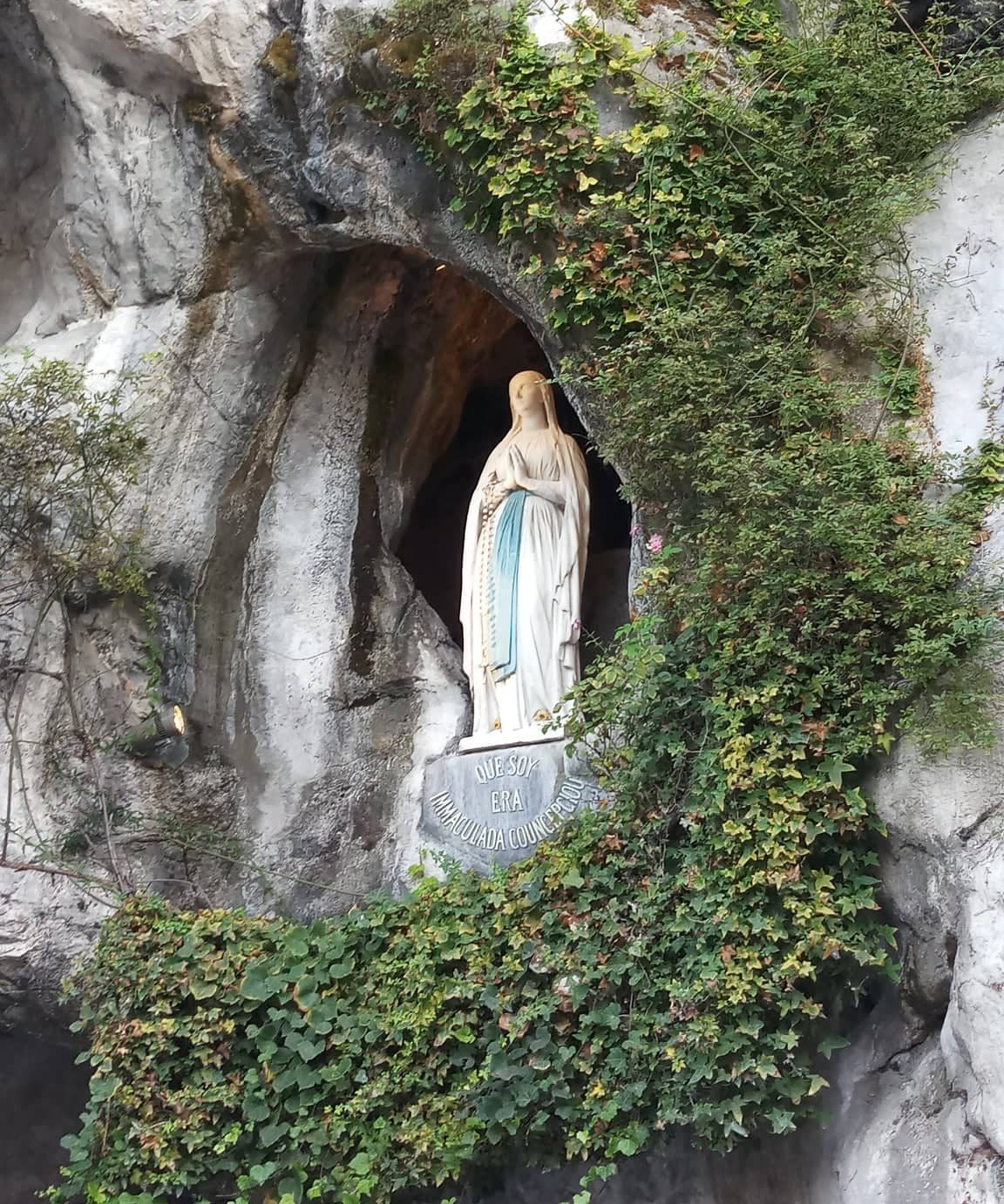 51705716_417611242320476_2911087373909491712_n